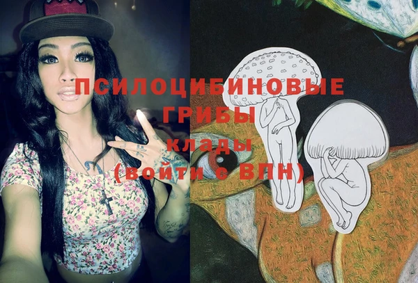 бутират Горняк