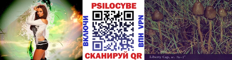 Галлюциногенные грибы прущие грибы  Купить закладки  Сурск 